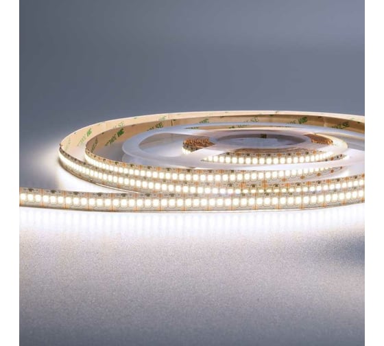 Изображение товара Светодиодная лента Wolta от напряжения 12В, световой поток 3200Лм, мощность 24Вт/м, 6500К Холодный белый свет, защита IP20, 240 светодиодов на метр, ширина 10 мм, длина 5 метров, артикул WLS2835-24W/6500/12H240-01