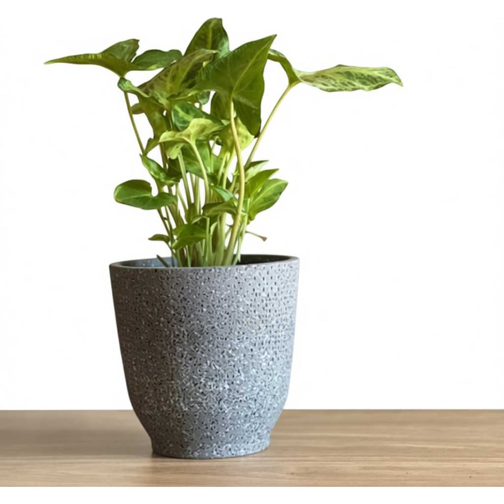 Изображение товара Керамическое кашпо Scheurich Vintage 14 см черное для растений и цветов