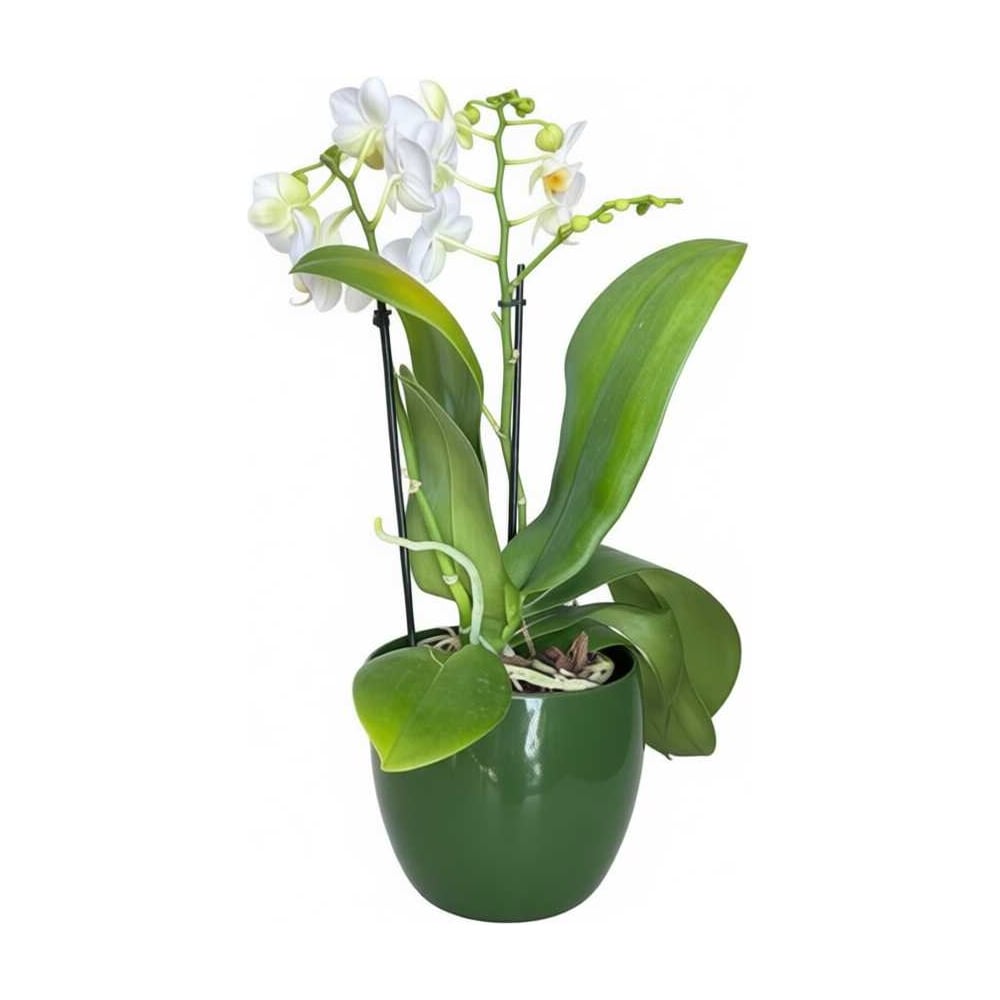 Изображение товара Керамическое кашпо Scheurich Vintage d15см зеленое для растений