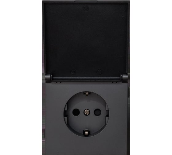 Изображение товара Одноместная силовая розетка ALTECH ENCORE 1SG IP44 скрытого монтажа с крышкой, заземлением и шторками графит механизм 07352
