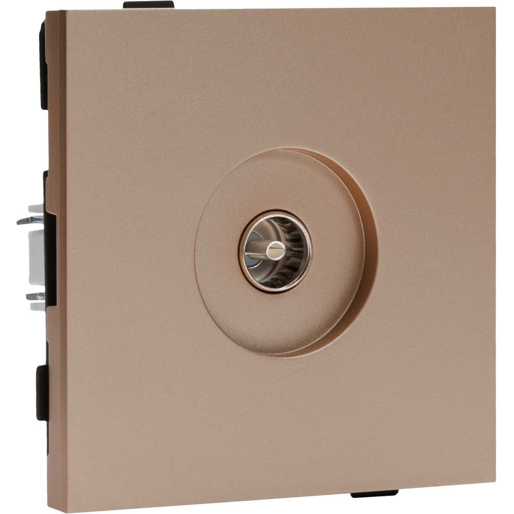 Изображение товара Телевизионная розетка ALTECH ENCORE 1STVY скрытого монтажа шампань