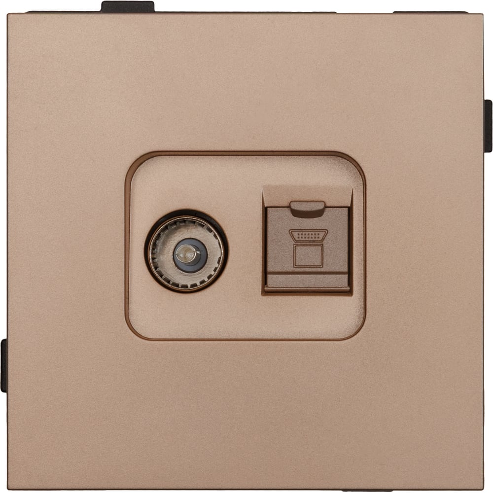 Изображение товара Одноместная скрытая розетка ALTECH ENCORE 1STVPCY для TV и компьютера шампань