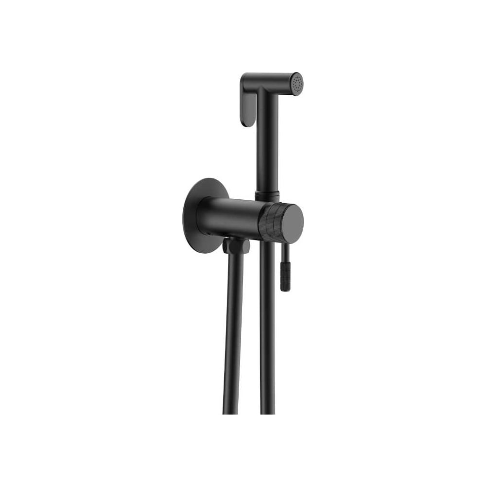 Изображение товара Гигиенический душ Gid Edessa L070-BM-GD L070CHGD - латунь, 1 режим, 1200 мм шланг, черный