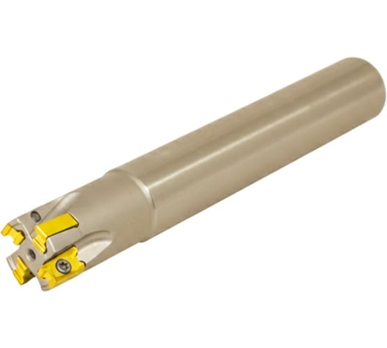 Изображение товара Фреза концевая Русский Инструмент 25 с механическим креплением 4гранных пластин LNKX 1204 Z=4 ц/х=25 L=170 AE490-R025.12.04.d25.M ri.193.286