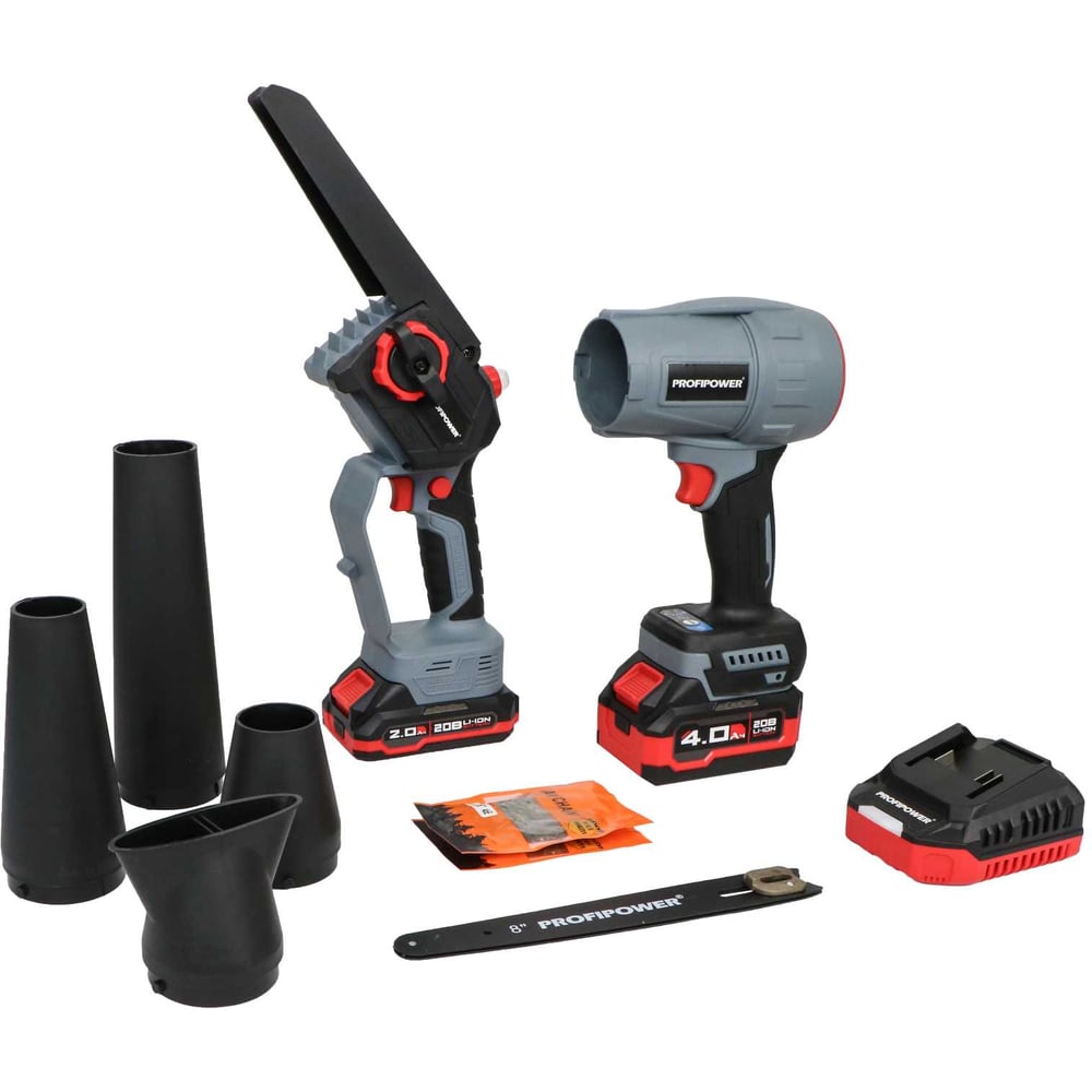 Изображение товара Аккумуляторный набор Profipower 2в1 ProfiSet-2D20 с двумя аккумуляторами