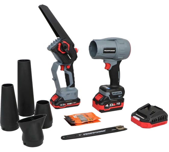 Изображение товара Аккумуляторный бесщеточный набор Profipower 2в1 ProfiSet-2D20 (Li-ion-2шт, 20B, 2.0Ач, 4.0Ач, в коробке, E0225, E0216) E0284