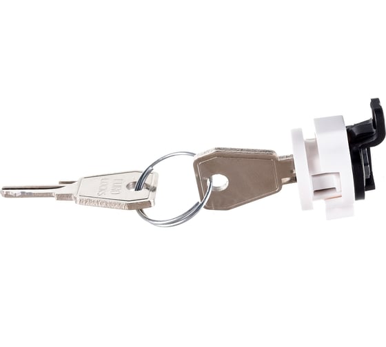 Изображение товара Замок Legrand PRACTIBOX S 134099