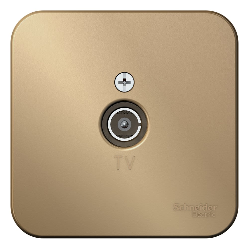 Изображение товара Телевизионная розетка Blanca Systeme Electric с титановой рамкой, IP20