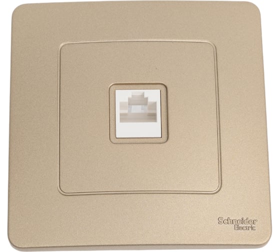Изображение товара Компьютерная розетка Systeme Electric Blanca внутр Титан RJ45 SE BLNIS045004