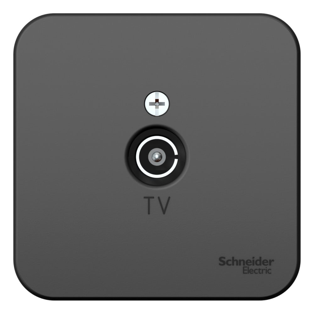 Изображение товара TV розетка Systeme Electric Blanca антрацитовая с защитой IP20