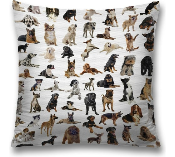 Изображение товара Декоративная наволочка JoyArty sl_10660