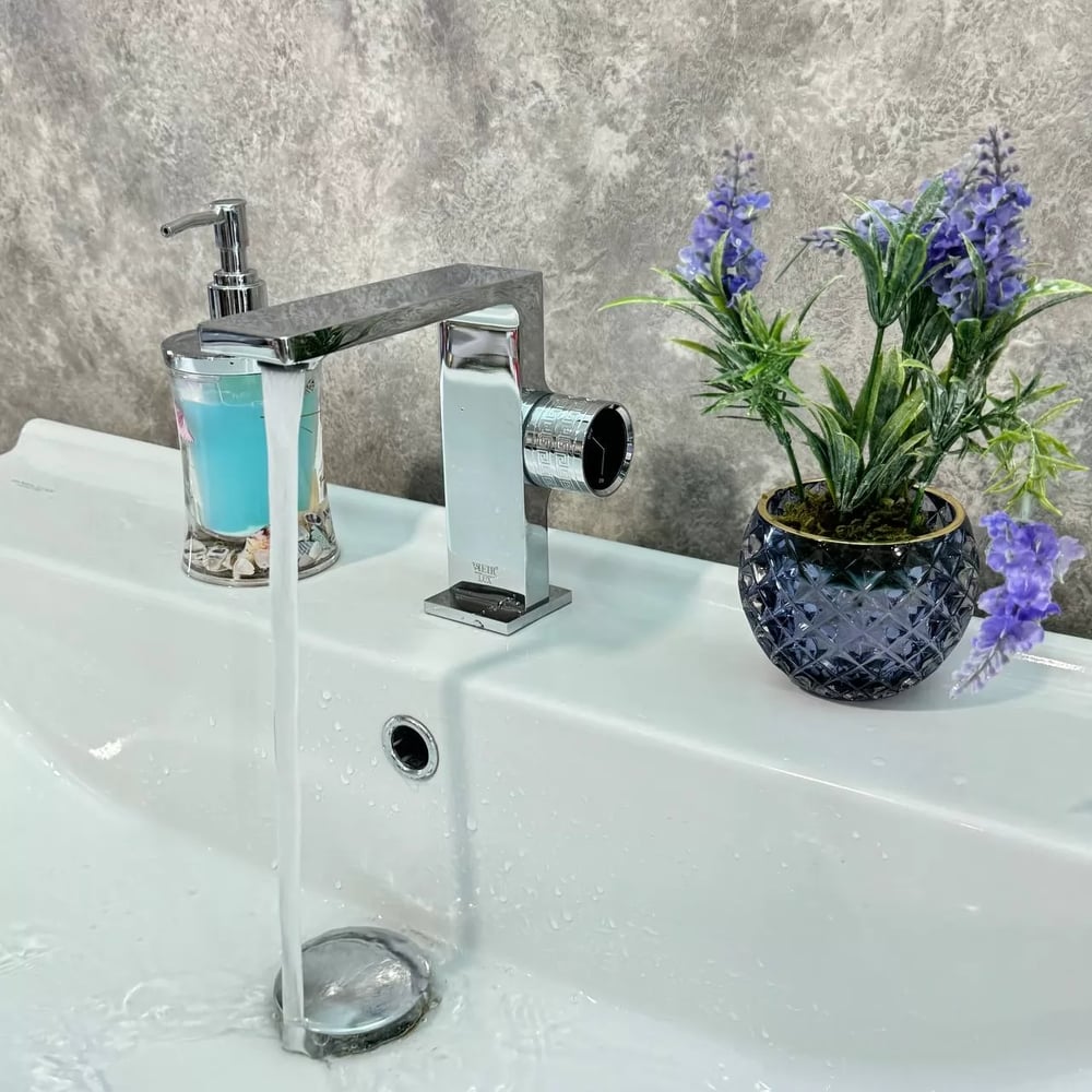 Изображение товара Смеситель для раковины однорычажный ViEiR хром 323511