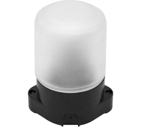 Изображение товара Светильник ОПТИКОМ ЭЛЕКТРИК Лидер-1 влагозащищенный, термостойкий, 60 Вт, IP65, черный 1300-00010.05