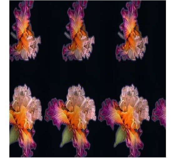 Изображение товара Штора САНАКС с рисунком, цветы, в ванную комнату, без колец, полиэстер 01-61