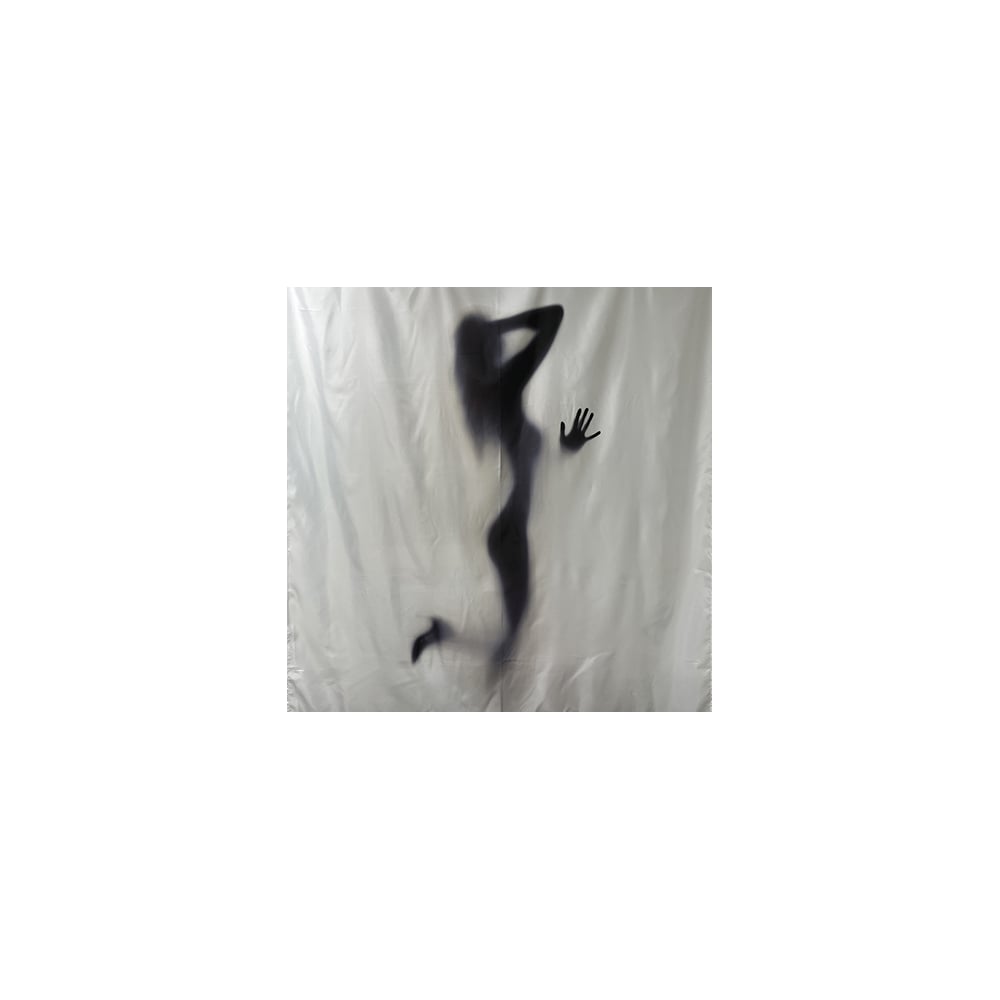 Изображение товара Шторка для ванной комнаты BRIMIX фотопечать тень 02-27 1800х1800 мм водоотталкивающая