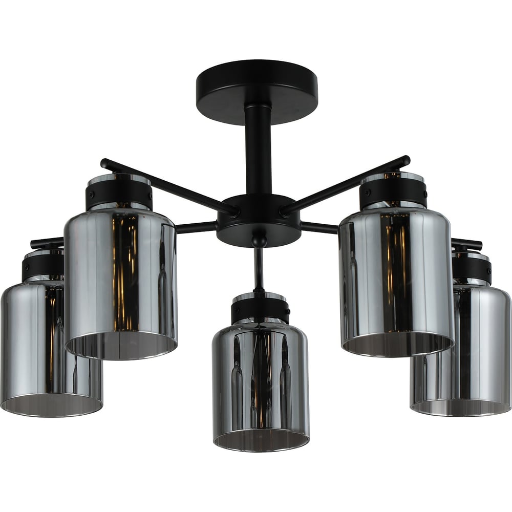 Изображение товара Люстра Schaffner 5xE27 40W Ferrico черная модерн накладная для дома и кафе