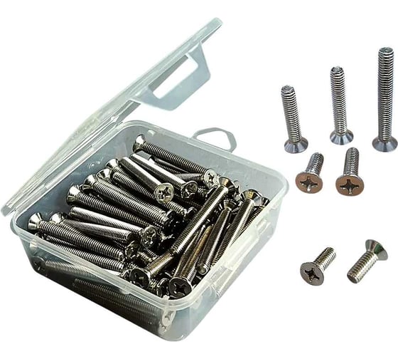 Изображение товара Винт 23 Болта потай нержавеющий 6х80 мм DIN 965 в органайзере, 40 шт. впн680орг-ф40
