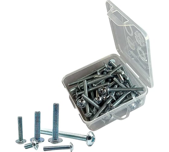 Изображение товара Винт 23 Болта с прессшайбой 6х45 DIN967 в органайзере, 45 шт вм645форг-ф45