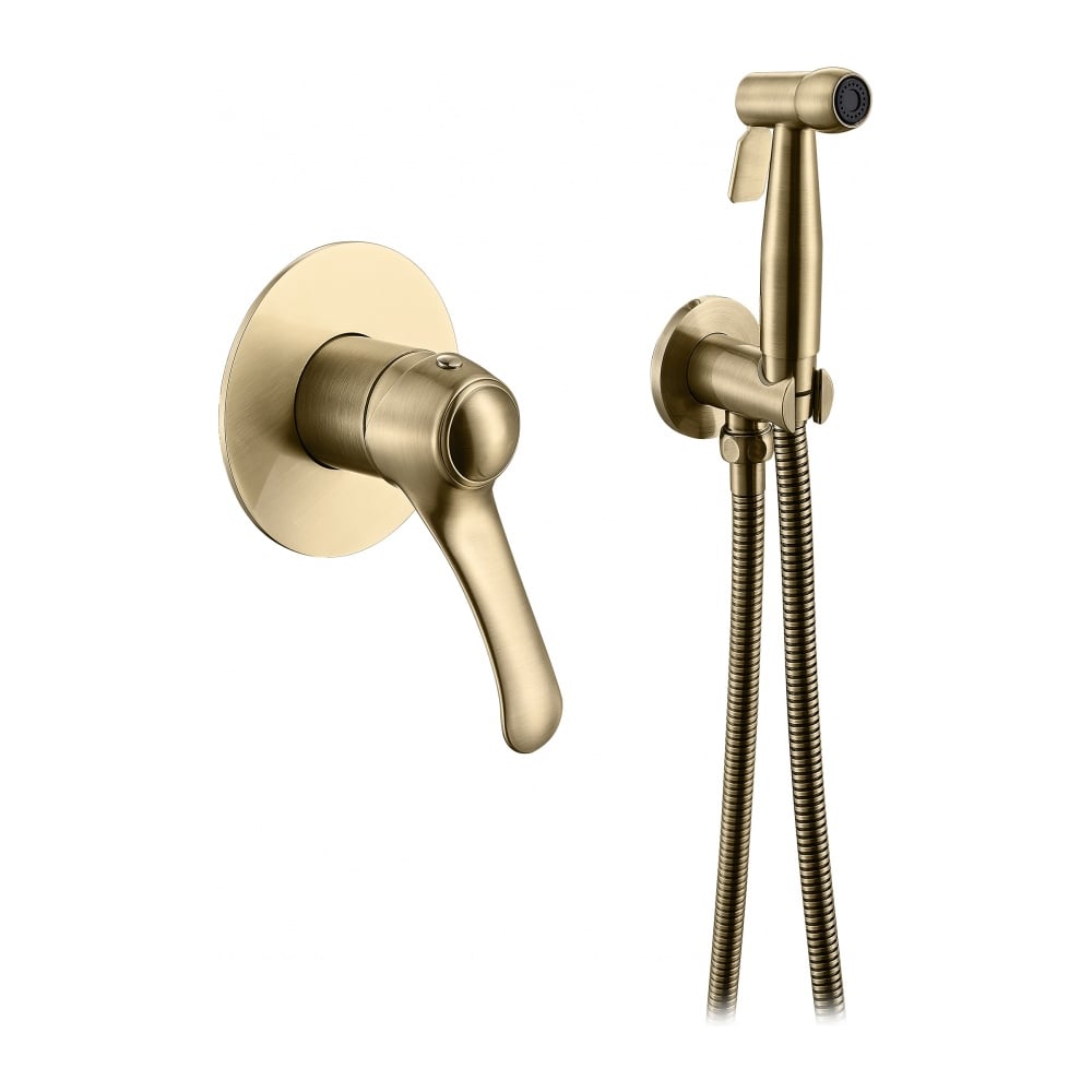 Изображение товара Комплект скрытого монтажа для биде ViEiR бронза с гигиеническим душем V413553-D