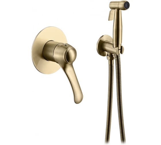 Изображение товара Комплект скрытого монтажа для биде ViEiR бронза, смеситель и гигиенический душ V413553-D