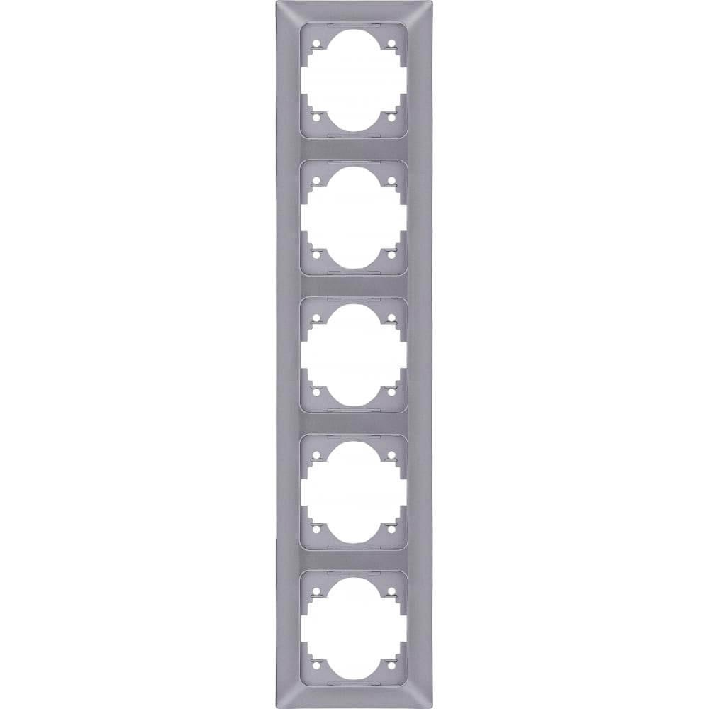 Вертикальная пятиместная рамка NE-AD, цвет серебро