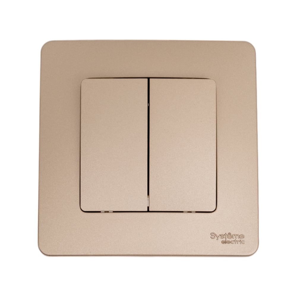 Изображение товара 2-клавишный выключатель Systeme Electric Blanca, Титан, 10А, 250V