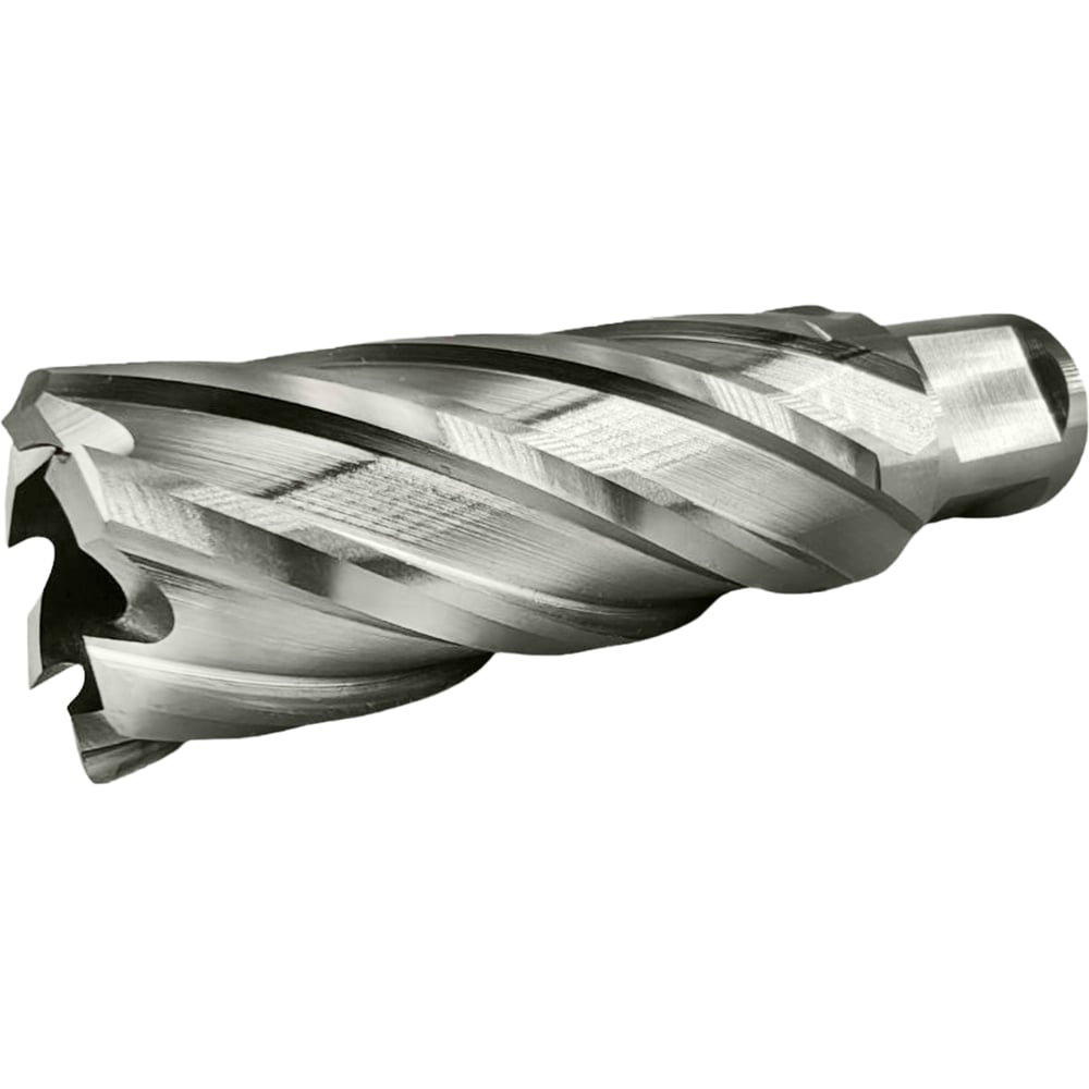 Изображение товара Сверло корончатое TIGER Cut Weldon 19 24х55 мм HSS 4012455