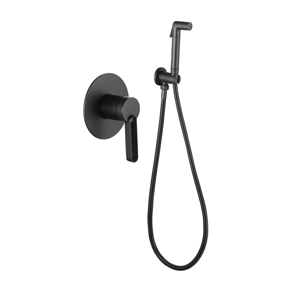 Изображение товара Комплект скрытого монтажа для биде ViEiR круглый латунь черный V083553-C