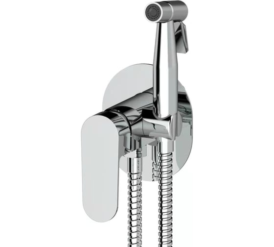 Изображение товара Комплект скрытого монтажа для биде ViEiR овальная панель хром Смеситель и гигиеническая лейка V283551