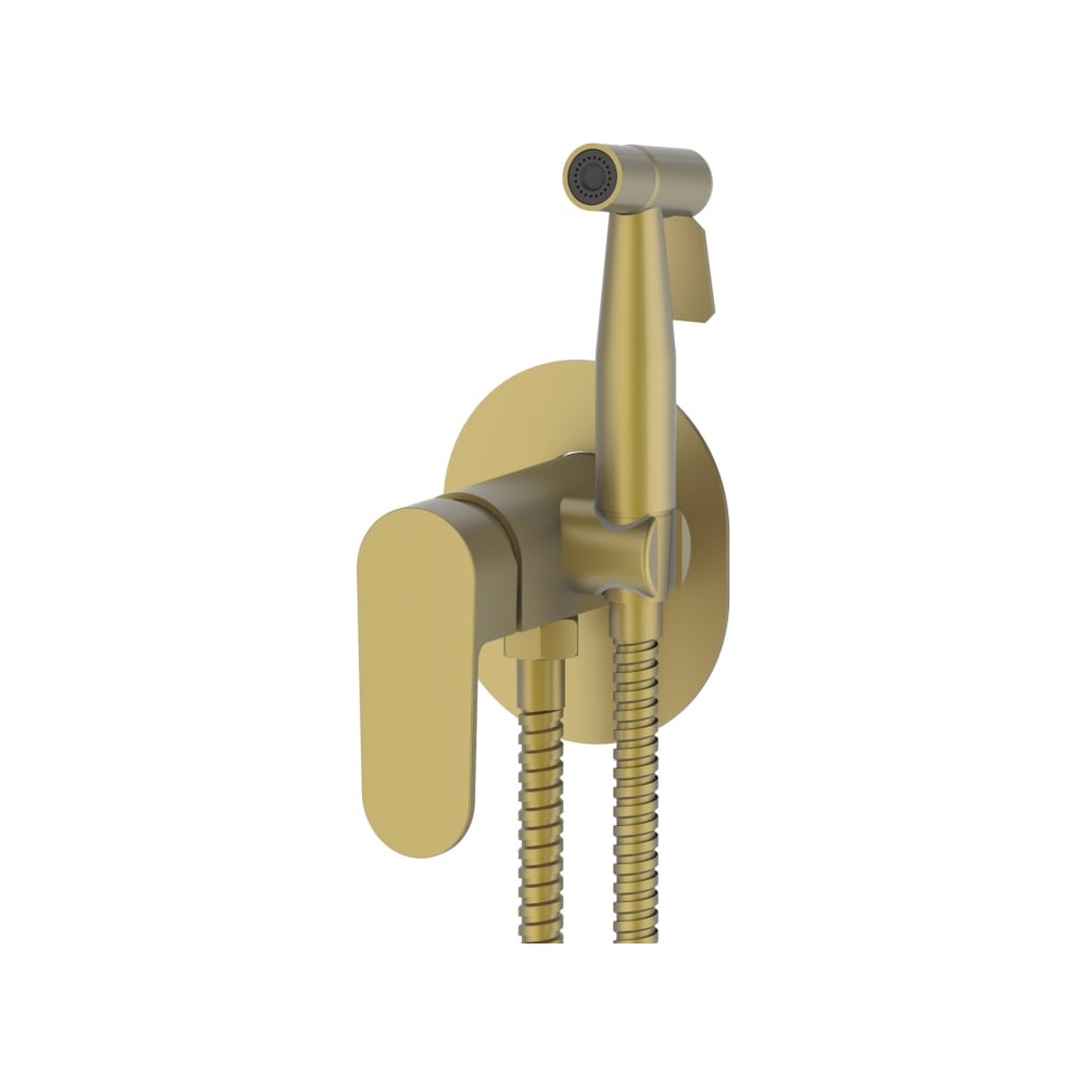 Изображение товара Комплект скрытого монтажа для биде ViEiR овальная панель матовое золото смеситель и гигиеническая л