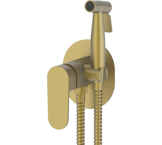 Изображение товара Комплект скрытого монтажа для биде ViEiR овальная панель матовое золото Смеситель и гигиеническая лейка V283551-S