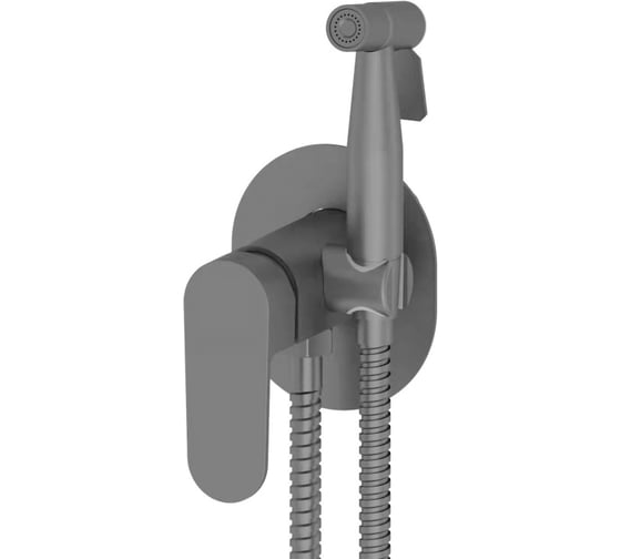 Изображение товара Комплект скрытого монтажа для биде ViEiR овальная панель графит Смеситель и гигиеническая лейка V283551-G