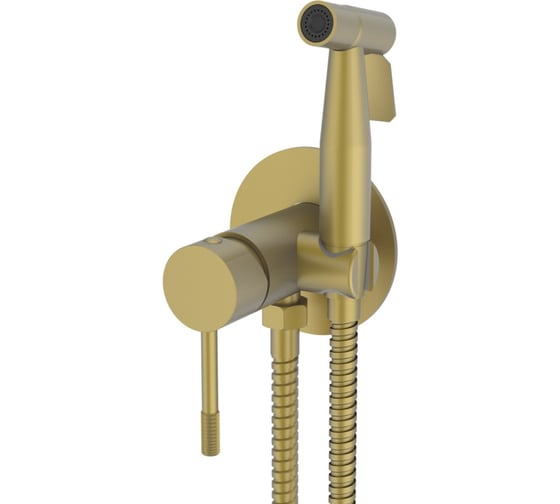 Изображение товара Комплект скрытого монтажа для биде ViEiR матовое золото Смеситель и гигиенический душ V403553-S