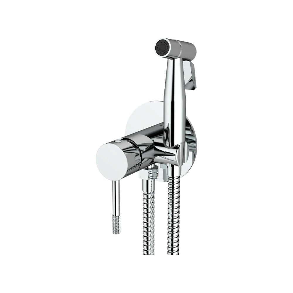 Изображение товара Комплект скрытого монтажа для биде ViEiR сатин с гигиеническим душем и смесителем V403553-N