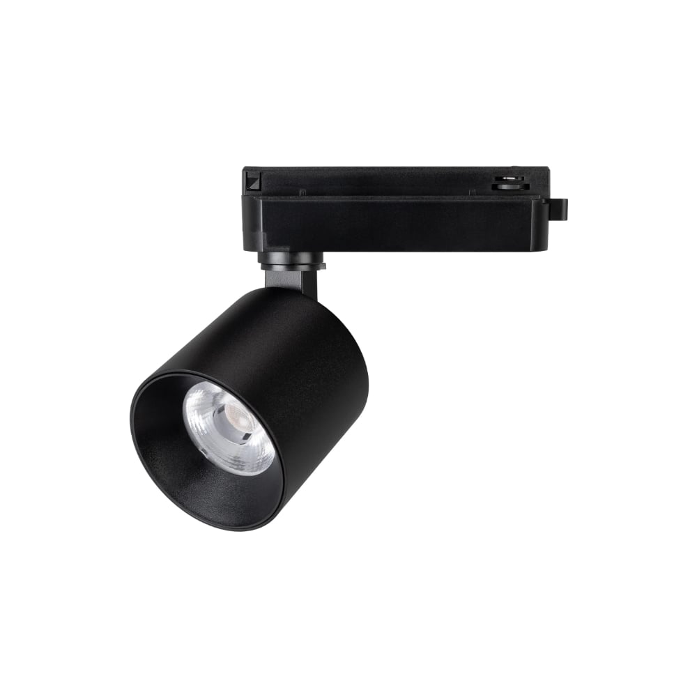 Изображение товара Светильник трековый встроенный Arlight LGD-DYKE-2TR-R75-16W Day4000 IP20 черный цилиндр