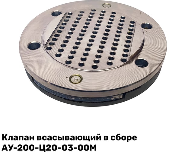 Изображение товара Клапан всасывающий в сборе АУ-200-Ц20-03-00М ЭнергоРесурс 2201003