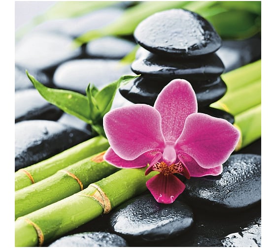 Изображение товара Шторка в ванную комнату Brimix фотопечать, БАМБУК с ЦВЕТКОМ 02-19