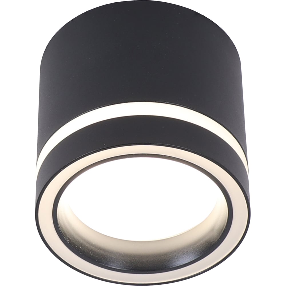 Изображение товара Потолочный накладной светильник Schaffner Tope 4865-80 BK с регулируемой цветовой температурой