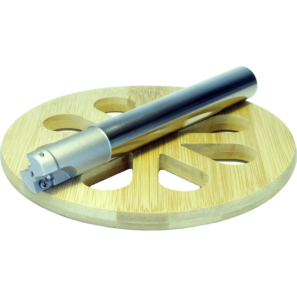 Корпусная фреза PROSAERS 31584