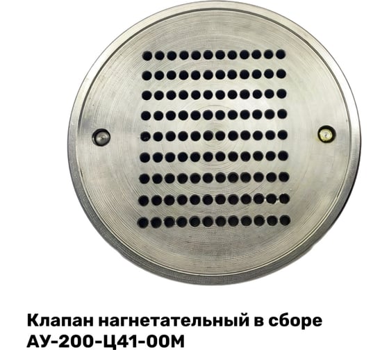 Изображение товара Клапан нагнетательный в сборе ЭнергоРесурс АУ-200-Ц41-00М 2201004