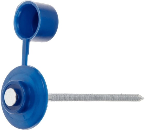 Изображение товара Гвоздь кровельный STARFIX 2.8х70 мм с пласт. шляпкой, синий (100 шт в пласт. конт.) ЦЗ-0055121472