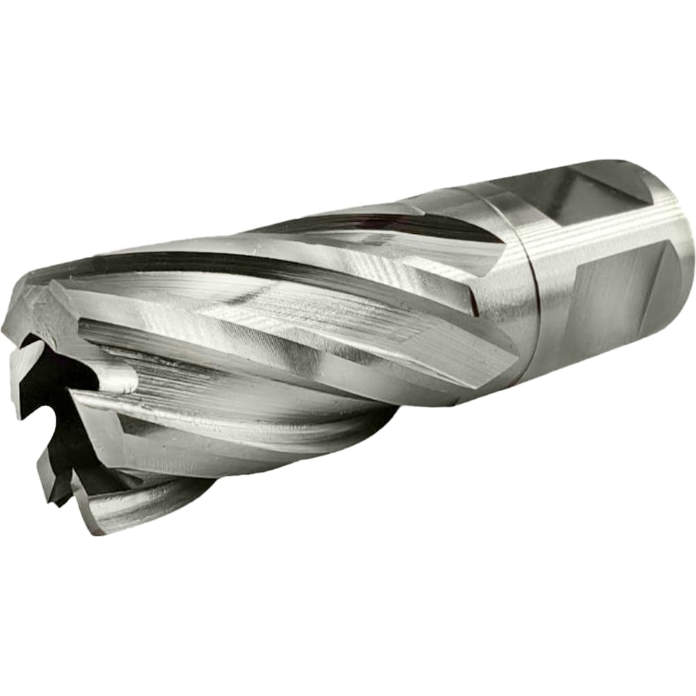 Изображение товара Сверло корончатое TIGER Cut Weldon 19 19х55 мм быстрорежущая сталь