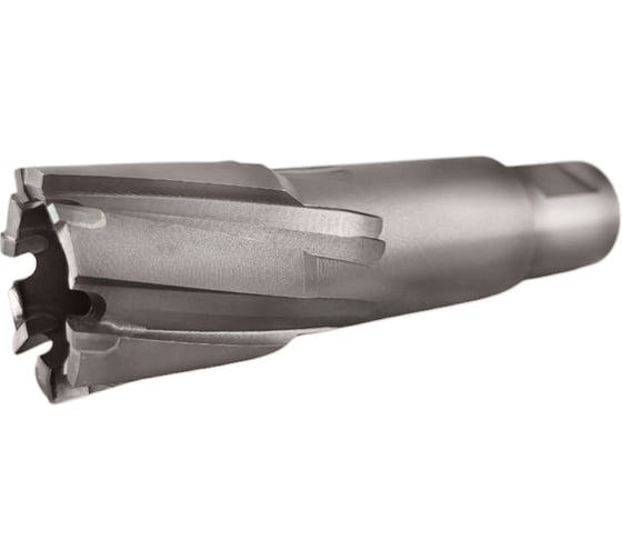 Изображение товара Сверло корончатое TIGER Cut Weldon 19 27х55 мм TCT 5012755