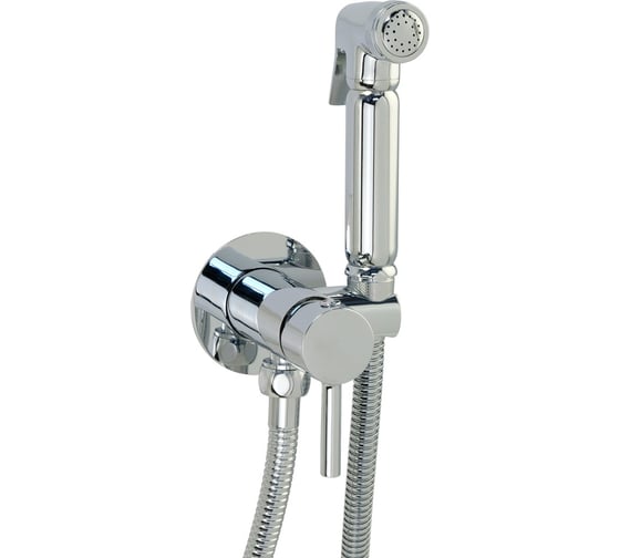 Изображение товара Монокомандный смеситель для биде с гигиеническим набором VERAGIO SANREMO хром 30376