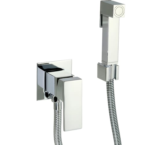 Изображение товара Монокомандный смеситель для биде с гигиеническим набором VERAGIO MONREALE хром 30373