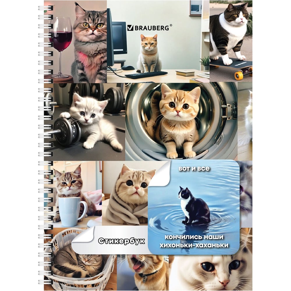 Изображение товара Блокнот А6 BRAUBERG 16 листов с цветными стикерами коты мемы