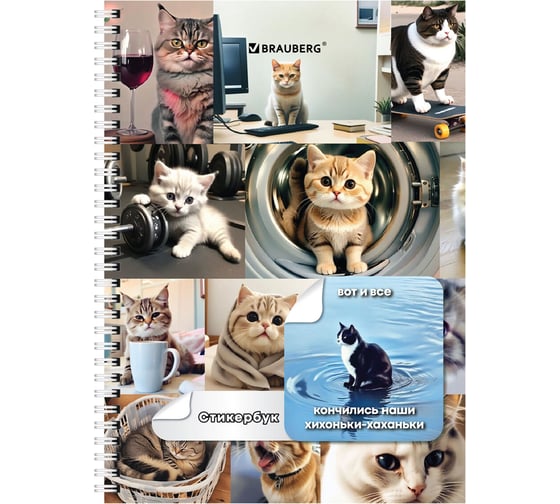 Изображение товара Блокнот А6 BRAUBERG, 16 листов, 96 цветных стикеров, на гребне, Коты мемы 666050