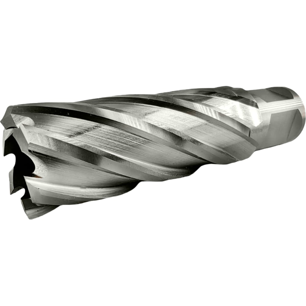 Изображение товара Сверло корончатое TIGER Cut Weldon 19 23х55 мм HSS 4012355