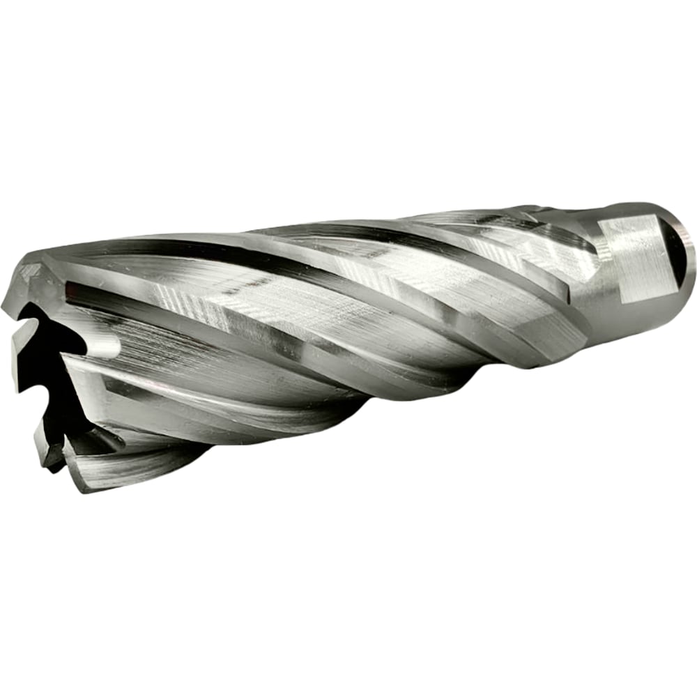 Изображение товара Сверло корончатое TIGER Cut Weldon 19 21х55 мм HSS 4012155