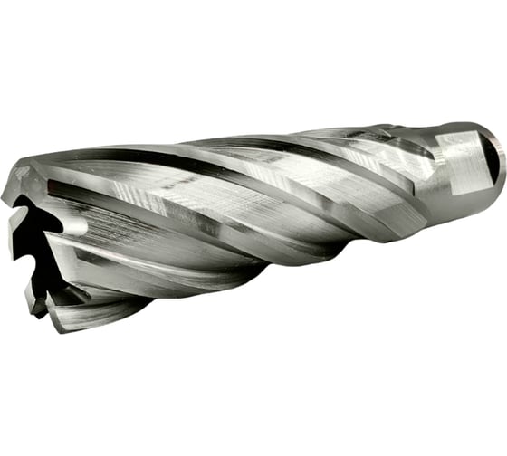 Изображение товара Сверло корончатое TIGER Cut Weldon 19 21х55 мм HSS 4012155